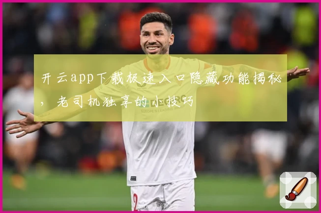 开云app下载极速入口隐藏功能揭秘,老司机独享的小技巧