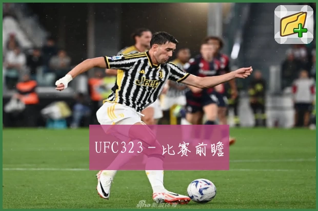 UFC323 - 比赛前瞻