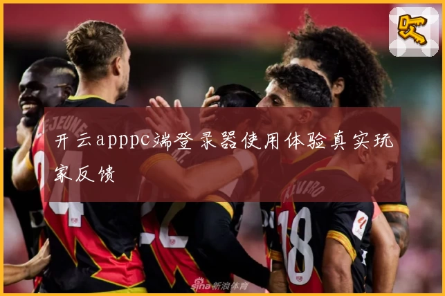 开云apppc端登录器使用体验真实玩家反馈