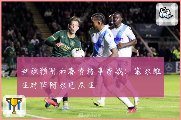 世欧预附加赛资格争夺战：塞尔维亚对阵阿尔巴尼亚
