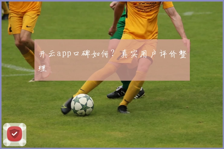 开云app口碑如何？真实用户评价整理