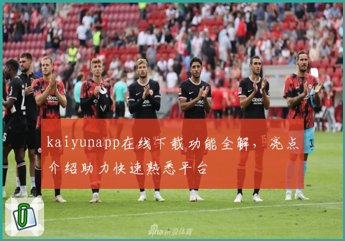 kaiyunapp在线下载功能全解，亮点介绍助力快速熟悉平台
