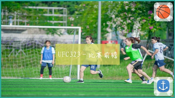 UFC323 - 比赛前瞻